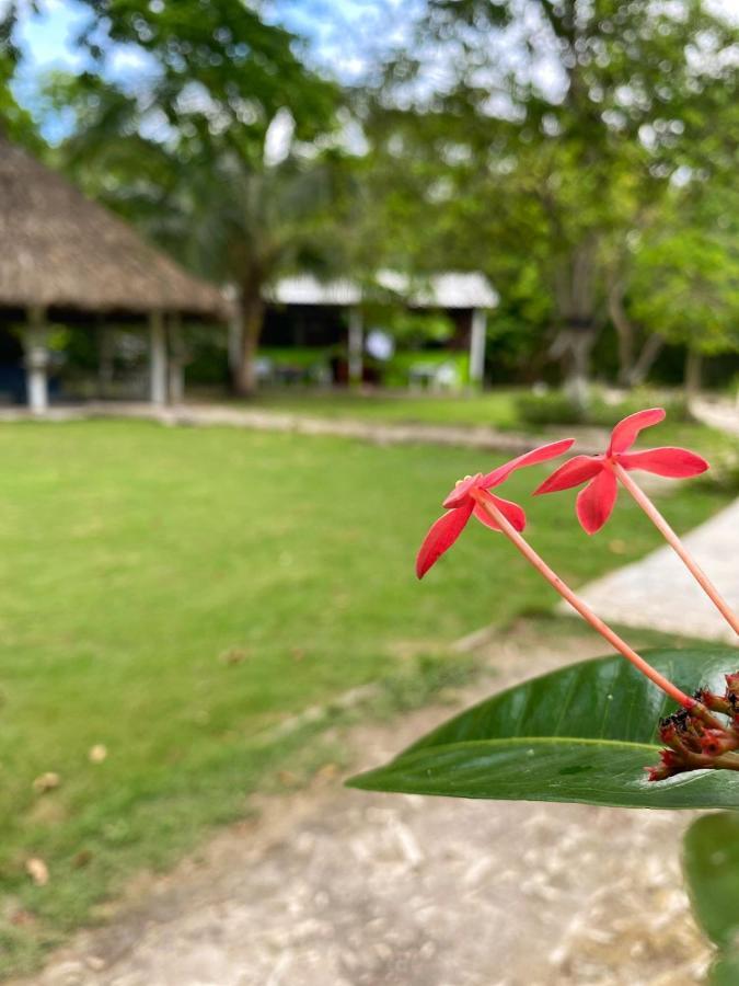 Eco Hotel Bosque Encantado Исла-Гранде Экстерьер фото